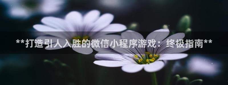 沐鸣2平台代理