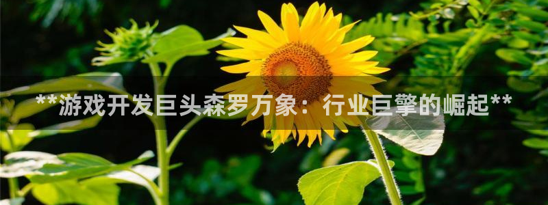 沐鸣娱乐2手机下载