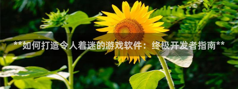 沐鸣娱乐2输钱了