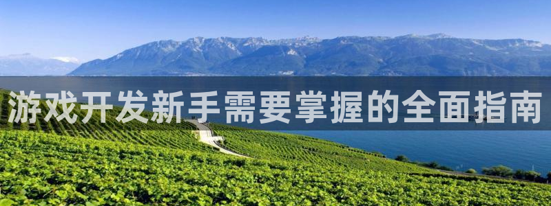 沐鸣娱乐2如何找回密码