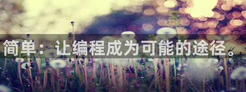 沐鸣2代理求27337：简单：让编程成为可能的途径。