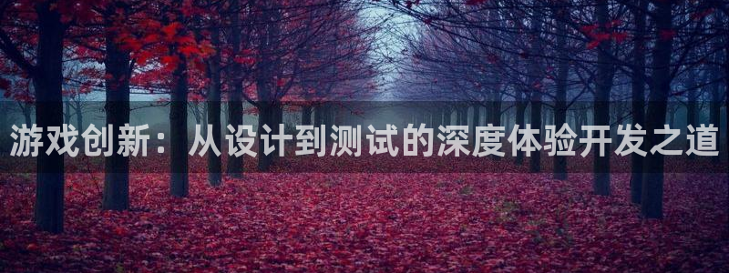 沐鸣2娱乐注册登录平台：游戏创新：从设计到测试的深度体验开发之道