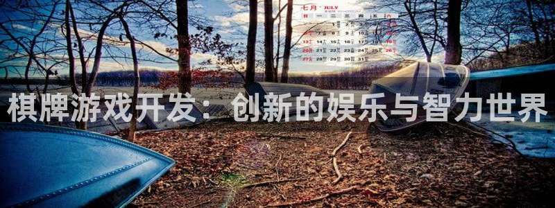沐鸣2注册地址：棋牌游戏开发：创新的娱乐与智力世界