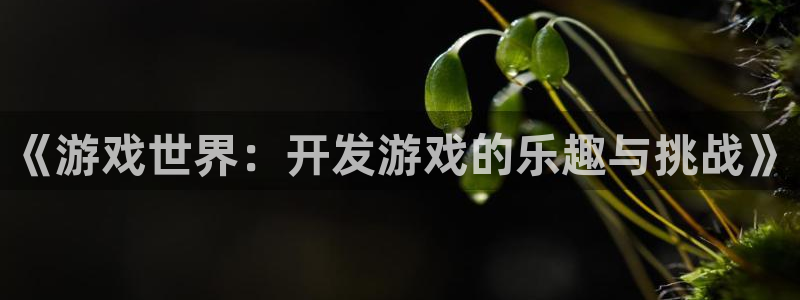 沐鸣娱乐2平台：《游戏世界：开发游戏的乐趣与挑战》
