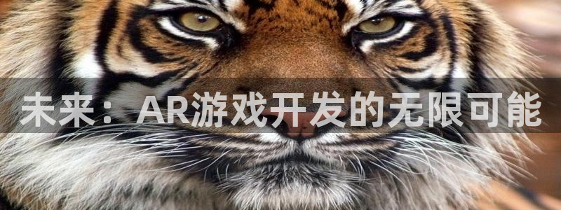 沐鸣2测速登录：未来：AR游戏开发的无限可能