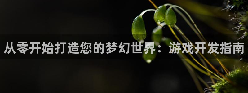 沐鸣娱乐2的分分彩：从零开始打造您的梦幻世界：游戏开发指南