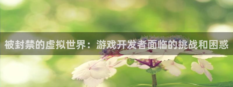 沐鸣娱乐2登陆不上怎么办：被封禁的虚拟世界：游戏开发者面临的挑战和困惑