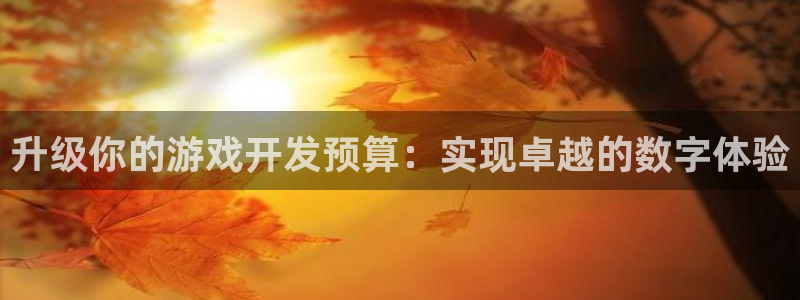 沐鸣娱乐2是干嘛的：升级你的游戏开发预算：实现卓越的数字体验