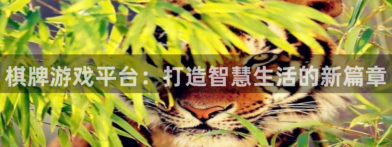 沐鸣2平台官方注册登录：棋牌游戏平台：打造智慧生活的新篇章