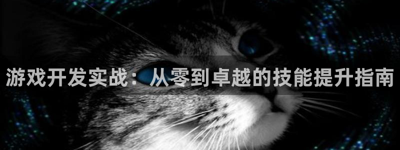 沐鸣娱乐2：游戏开发实战：从零到卓越的技能提升指南