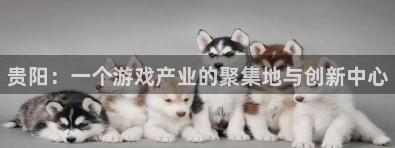 沐鸣2注册登录：贵阳：一个游戏产业的聚集地与创新中心
