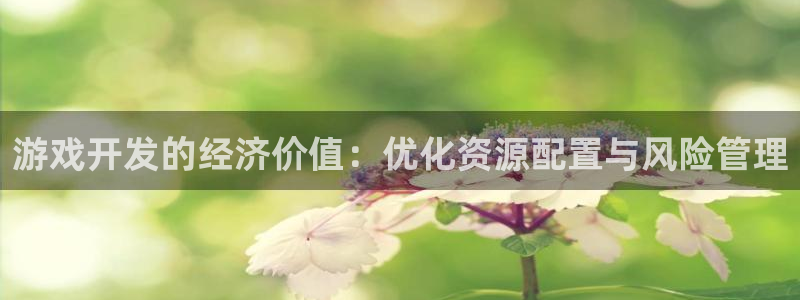 沐鸣2app：游戏开发的经济价值：优化资源配置与风险管理