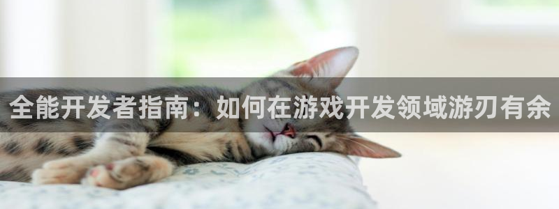沐鸣娱乐2客服：全能开发者指南：如何在游戏开发领域游刃有余