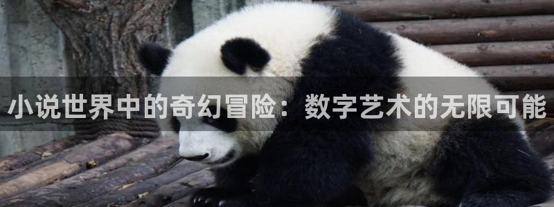 沐鸣2票35994度：小说世界中的奇幻冒险：数字艺术的无限可能