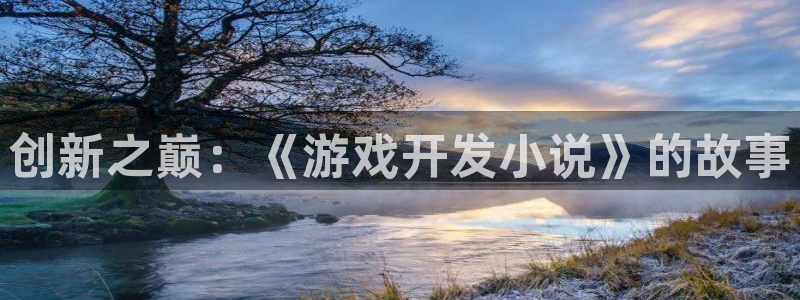 沐鸣代理22927：创新之巅：《游戏开发小说》的故事