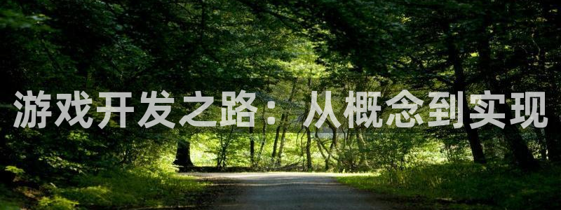 沐鸣2娱乐平台登录客服：游戏开发之路：从概念到实现