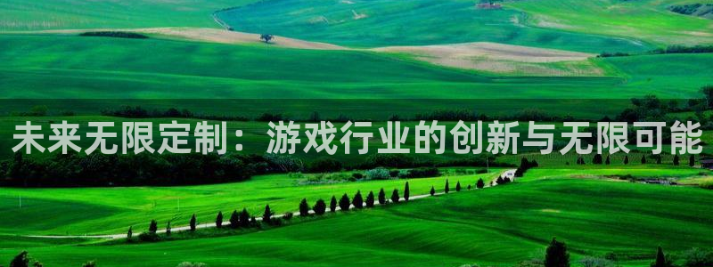 沐鸣娱乐2官网网址：未来无限定制：游戏行业的创新与无限可能