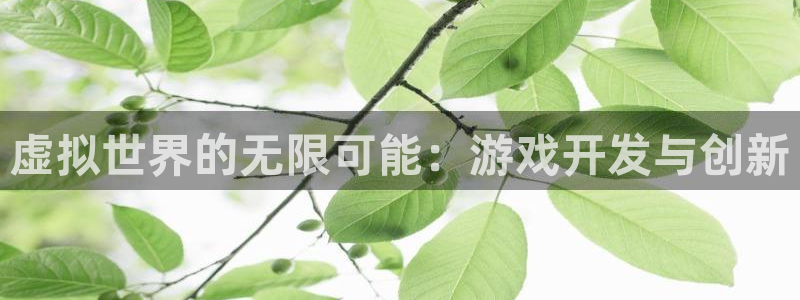 沐鸣娱乐2如何找回密码：虚拟世界的无限可能：游戏开发与创新