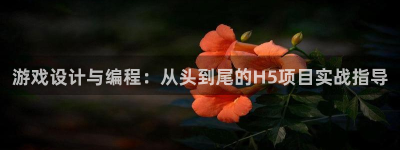 沐鸣娱乐2手机下载：游戏设计与编程：从头到尾的H5项目实战指导