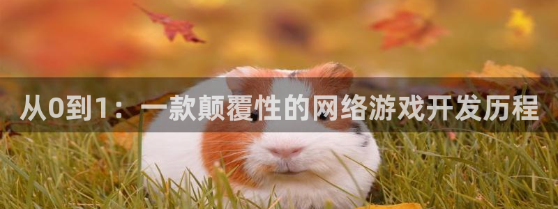 沐鸣娱乐2官方平台是什么：从0到1：一款颠覆性的网络游戏开发历程