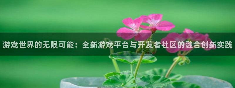 沐鸣2票35994度：游戏世界的无限可能：全新游戏平台与开发者社区的融合创新实践