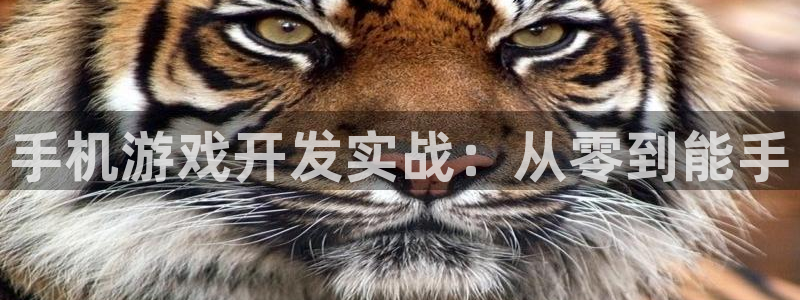 沐鸣娱乐2不能注册：手机游戏开发实战：从零到能手