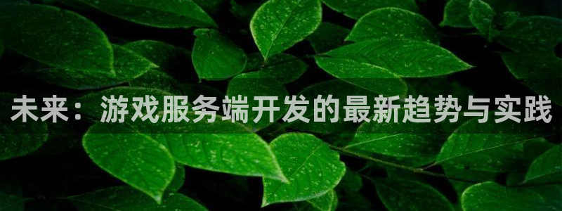沐鸣2娱乐平台登录