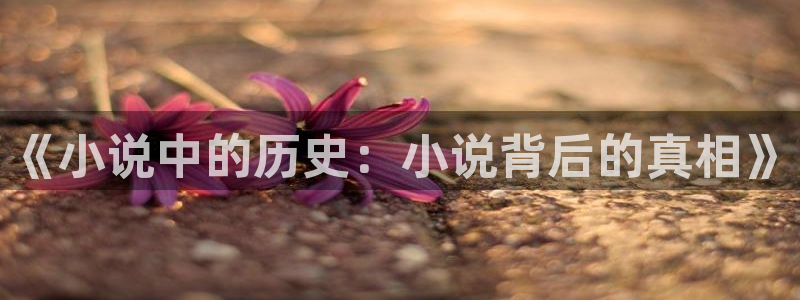 知鹤东华帝君话本小说网：《小说中的历史：小说背后的真相》