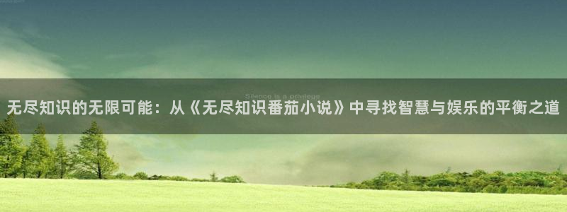 斗龙战士小说话本小说：无尽知识的无限可能：从《无尽知识番茄小说》中寻找智慧与娱乐的平衡之道