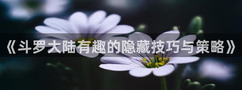 综影视话本小说：《斗罗大陆有趣的隐藏技巧与策略》