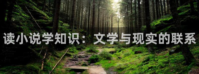 all文话本小说：读小说学知识：文学与现实的联系