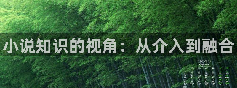 话本小说免费体力值版本：小说知识的视角：从介入到融合