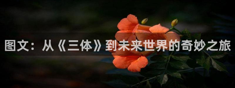 神奇宝贝话本小说网：图文：从《三体》到未来世界的奇妙之旅